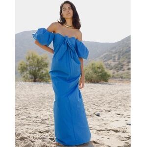 Caroline Constas Reyna Strapless Maxi Dress